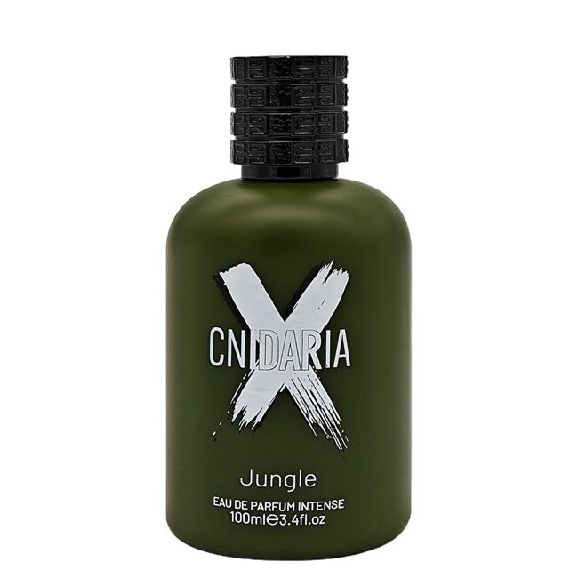 CNIDARIA4 CNIDARIA4