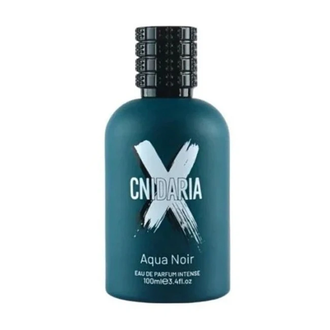 Samam Aqua Noir perfume in Kuwait