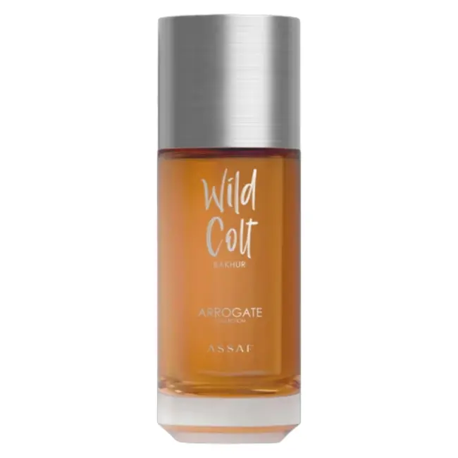 Wild Colt Bakhur Assaf